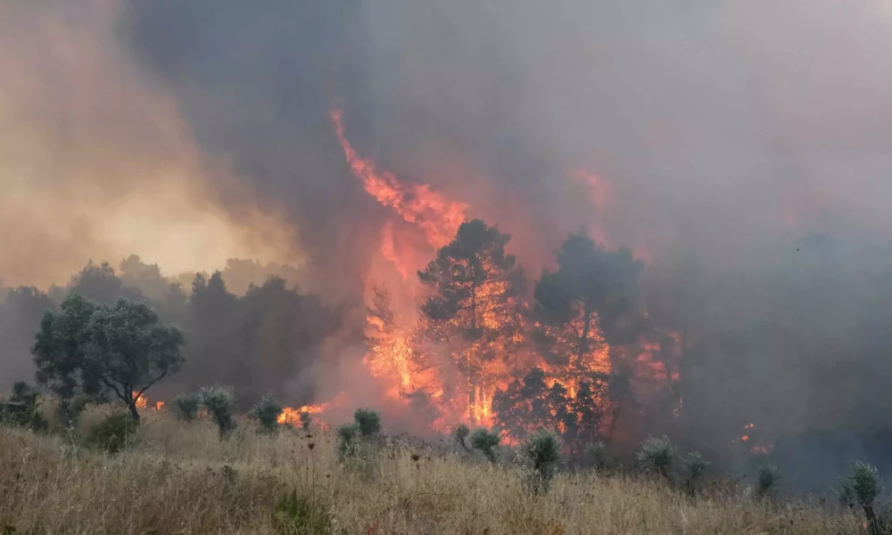 Φωτιά-Καπανδρίτι: Δεν απειλήθηκαν κατοικίες